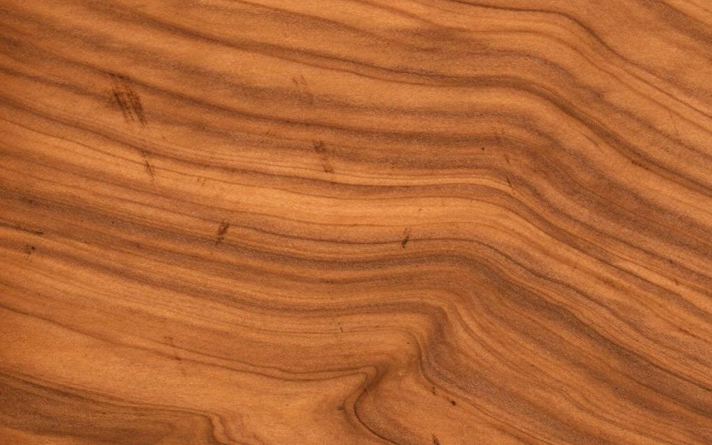 Madera de Cedro: La Joya de la Carpintería